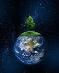 5. junij, Svetovni dan okolja